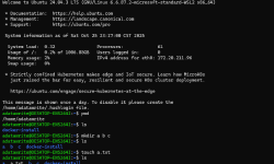 Featured image of post Win11开启Linux子系统教程